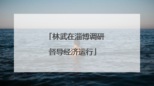 林武在淄博调研督导经济运行