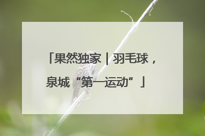 果然独家｜羽毛球，泉城“第一运动”