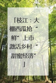 枝江：大棚西瓜抢“鲜”上市 激活乡村“甜蜜经济”