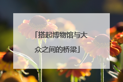 搭起博物馆与大众之间的桥梁