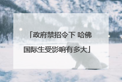 政府禁招令下 哈佛国际生受影响有多大