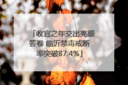 收官之年交出亮眼答卷 临沂禁毒戒断率突破87.4%
