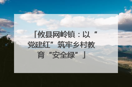攸县网岭镇：以“党建红”筑牢乡村教育“安全绿”
