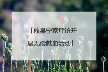 攸县宁家坪镇开展无偿献血活动