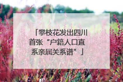 攀枝花发出四川首张“户籍人口直系亲属关系谱”