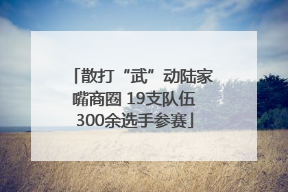 散打“武”动陆家嘴商圈 19支队伍300余选手参赛