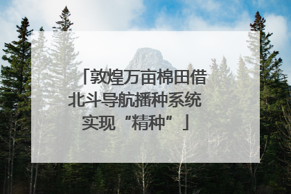 敦煌万亩棉田借北斗导航播种系统实现“精种”
