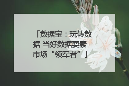 数据宝：玩转数据 当好数据要素市场“领军者”