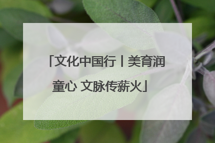 文化中国行丨美育润童心 文脉传薪火