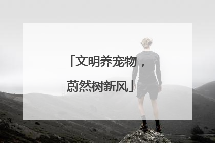 文明养宠物，蔚然树新风
