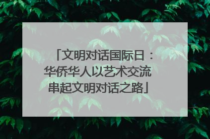 文明对话国际日：华侨华人以艺术交流串起文明对话之路