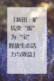 新田：矿坑变“废”为“宝” 释放生态活力与效益