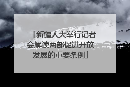新疆人大举行记者会解读两部促进开放发展的重要条例