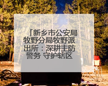 新乡市公安局牧野分局牧野派出所：深耕主防警务 守护辖区平安