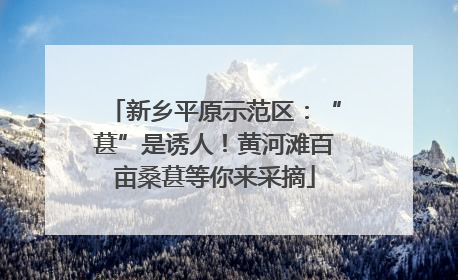 新乡平原示范区：“葚”是诱人！黄河滩百亩桑葚等你来采摘