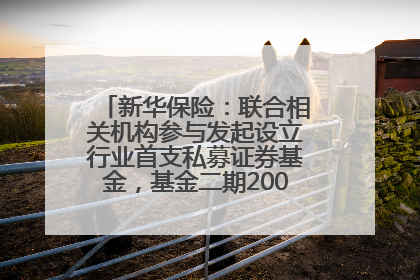 新华保险：联合相关机构参与发起设立行业首支私募证券基金，基金二期200亿元已募集完毕