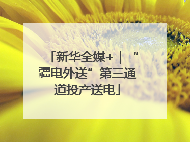 新华全媒+｜“疆电外送”第三通道投产送电