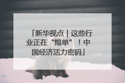新华视点｜这些行业正在“爆单”！中国经济活力密码