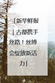 新华鲜报｜古都携手丝路！丝博会绽放新活力