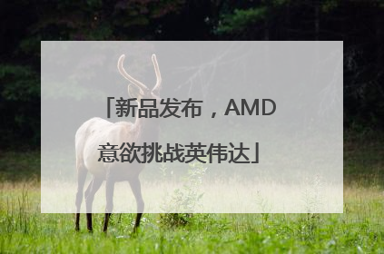 新品发布，AMD意欲挑战英伟达