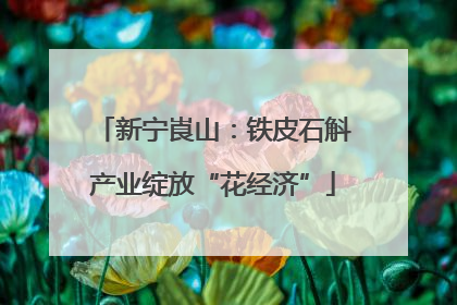 新宁崀山：铁皮石斛产业绽放“花经济”