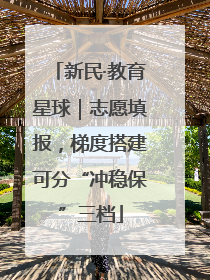 新民·教育星球｜志愿填报，梯度搭建可分“冲稳保”三档
