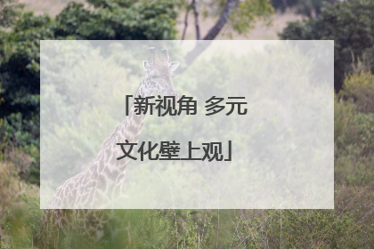 新视角 多元文化壁上观