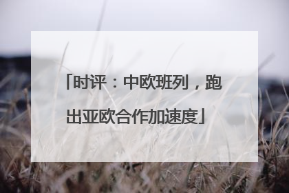 时评：中欧班列，跑出亚欧合作加速度
