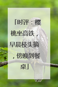 时评：樱桃坐高铁，早晨枝头摘，傍晚到餐桌