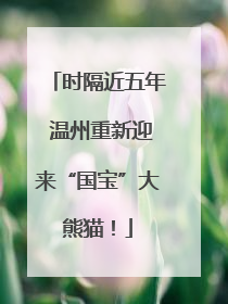 时隔近五年 温州重新迎来“国宝”大熊猫！