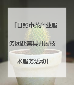 日照市茶产业服务团赴莒县开展技术服务活动