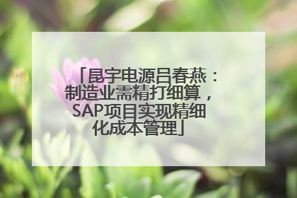 昆宇电源吕春燕：制造业需精打细算，SAP项目实现精细化成本管理