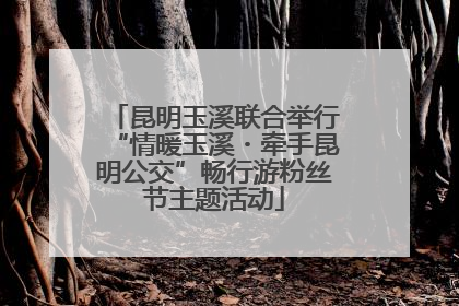 昆明玉溪联合举行“情暖玉溪・牵手昆明公交”畅行游粉丝节主题活动