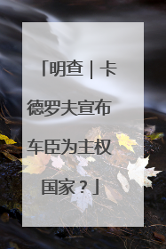 明查｜卡德罗夫宣布车臣为主权国家？