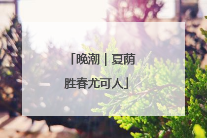 晚潮｜夏荫胜春尤可人