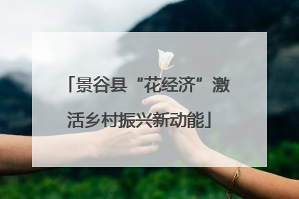 景谷县“花经济”激活乡村振兴新动能