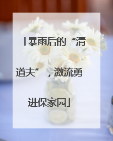 暴雨后的“清道夫”，激流勇进保家园