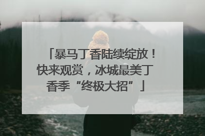 暴马丁香陆续绽放！快来观赏，冰城最美丁香季“终极大招”