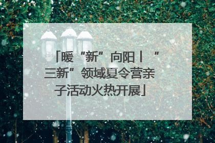 暖“新”向阳丨“三新”领域夏令营亲子活动火热开展