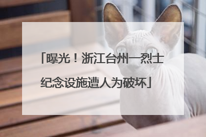 曝光！浙江台州一烈士纪念设施遭人为破坏