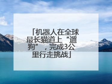 机器人在全球最长猫道上“遛狗”，完成3公里行走挑战