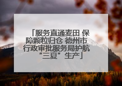 服务直通麦田 保障颗粒归仓 德州市行政审批服务局护航“三夏”生产