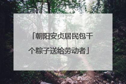 朝阳安贞居民包千个粽子送给劳动者