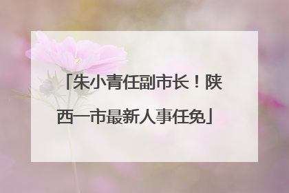 朱小青任副市长！陕西一市最新人事任免