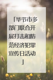 毕节市多部门联合开展打击和防范经济犯罪宣传日活动