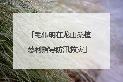 毛伟明在龙山桑植慈利指导防汛救灾