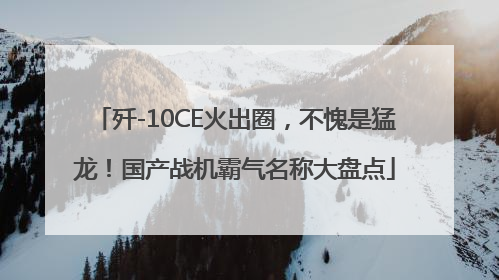 歼-10CE火出圈，不愧是猛龙！国产战机霸气名称大盘点