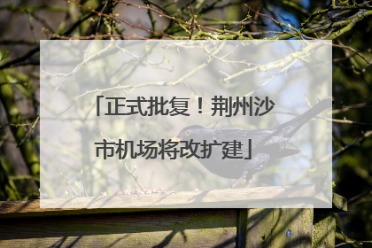正式批复！荆州沙市机场将改扩建