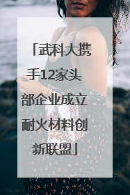 武科大携手12家头部企业成立耐火材料创新联盟