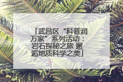 武昌区“科普润万家”系列活动：岩石探秘之旅 邂逅地质科学之美